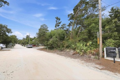 An exceptional opportunity awaits in the heart of Seagrove Beach - photo 8