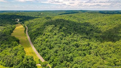 46.53 surveyed acres in the Gravois Mills / Versailles area - photo 2
