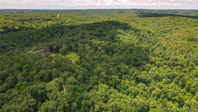 46.53 surveyed acres in the Gravois Mills / Versailles area - photo 3