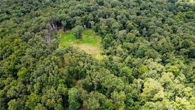 46.53 surveyed acres in the Gravois Mills / Versailles area - photo 4