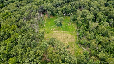 46.53 surveyed acres in the Gravois Mills / Versailles area - photo 5