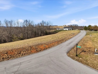Norris Lake View Lot for Sale in Rock Harbor SOLD - photo 8