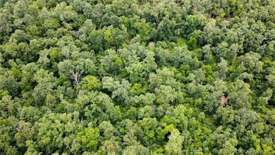 46.53 surveyed acres in the Gravois Mills / Versailles area - photo 6