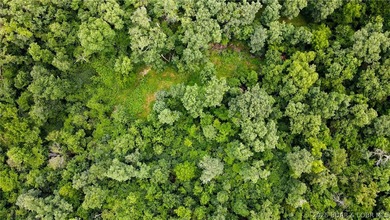 46.53 surveyed acres in the Gravois Mills / Versailles area - photo 7