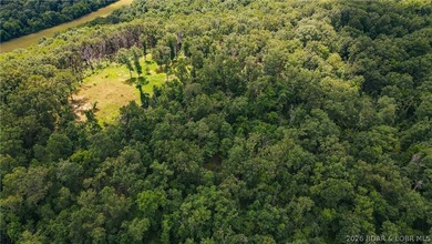 46.53 surveyed acres in the Gravois Mills / Versailles area - photo 8