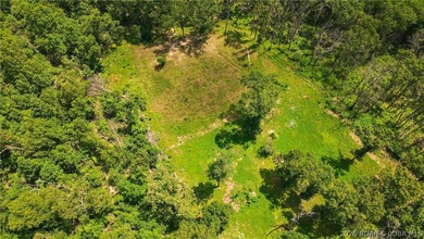 46.53 surveyed acres in the Gravois Mills / Versailles area - photo 9
