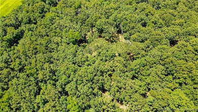 46.53 surveyed acres in the Gravois Mills / Versailles area - photo 10