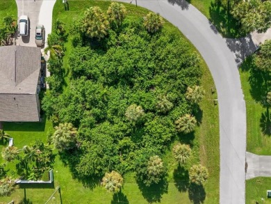 Port Charlotte Waterway Lakes Area Lot For Sale in Port Charlotte Florida