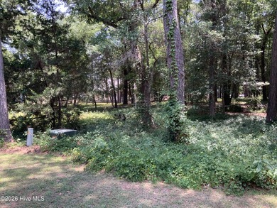 Come and check out this homesite today! The lot is tucked away - photo 2