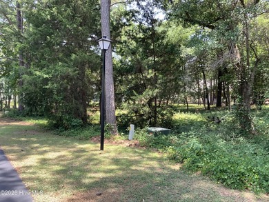 Come and check out this homesite today! The lot is tucked away - photo 3
