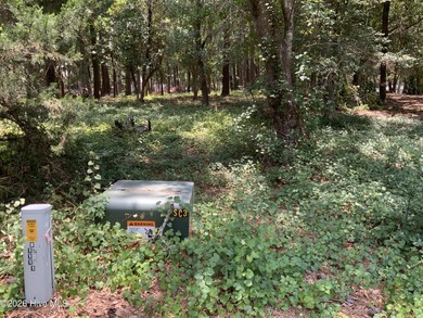 Come and check out this homesite today! The lot is tucked away - photo 4