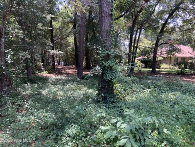 Come and check out this homesite today! The lot is tucked away - photo 5