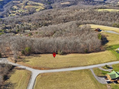 Norris Lake View Lot for Sale in Rock Harbor SOLD - photo 22