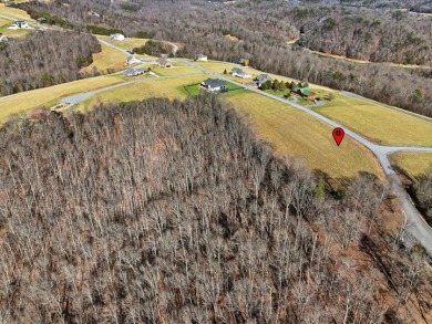 Norris Lake View Lot for Sale in Rock Harbor SOLD - photo 13