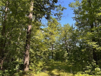 Clear Lake - Sawyer County Lot For Sale in Hayward Wisconsin