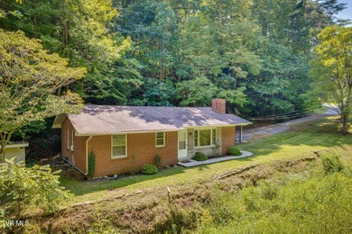 (private lake, pond, creek) Home For Sale in Butler Tennessee