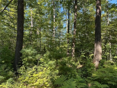 Clear Lake - Sawyer County Lot For Sale in Hayward Wisconsin