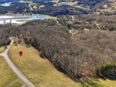 Norris Lake View Lot for Sale in Rock Harbor SOLD - photo 23