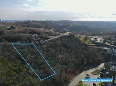 Table Rock Lake Lot For Sale in Branson Missouri