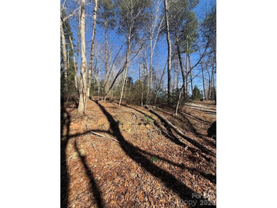 Welcome to the desirable Lake Adger Community! This 1.10 ac - photo 12