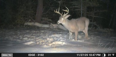 Absolute serene paradise for the outdoor enthusiasts!! 64 acres - photo 12