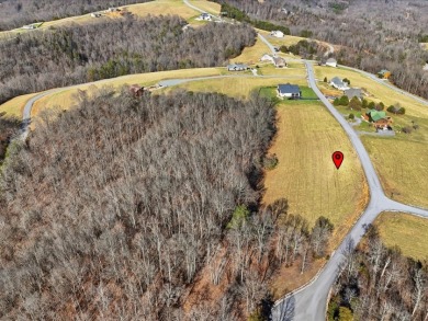 Norris Lake View Lot for Sale in Rock Harbor SOLD - photo 14