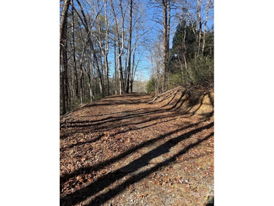 Welcome to the desirable Lake Adger Community! This 1.10 ac - photo 13