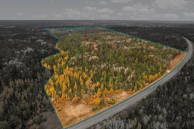 Absolute serene paradise for the outdoor enthusiasts!! 64 acres - photo 13