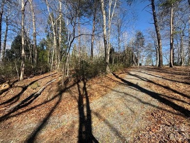 Welcome to the desirable Lake Adger Community! This 1.10 ac - photo 14