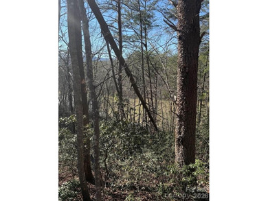 Welcome to the desirable Lake Adger Community! This 1.10 ac - photo 15