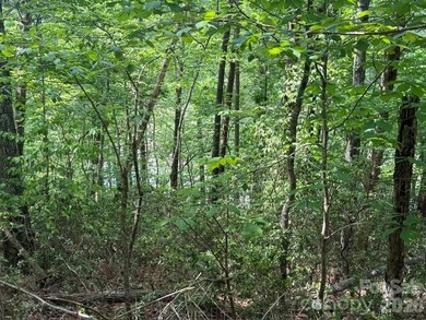 Welcome to the desirable Lake Adger Community! This 1.10 ac - photo 16