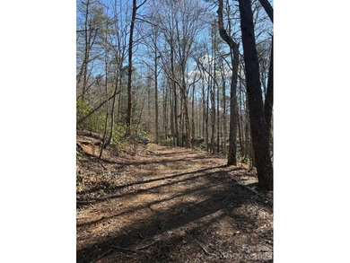 Welcome to the desirable Lake Adger Community! This 1.10 ac - photo 17