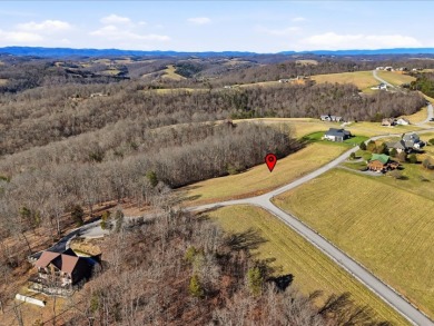 Norris Lake View Lot for Sale in Rock Harbor SOLD - photo 20