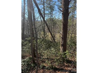Welcome to the desirable Lake Adger Community! This 1.10 ac - photo 20