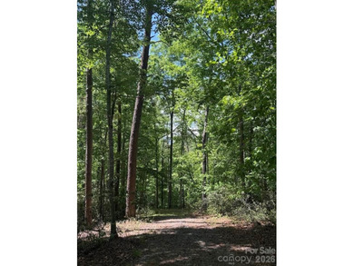 Welcome to the desirable Lake Adger Community! This 1.10 ac - photo 21