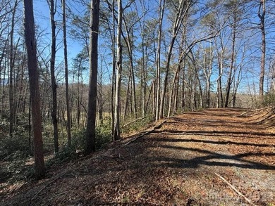 Welcome to the desirable Lake Adger Community! This 1.10 ac - photo 22
