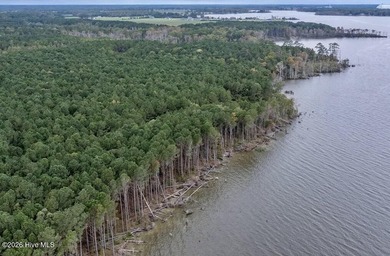 Discover the opportunity to own over 13 acres of land on Bluff - photo 2