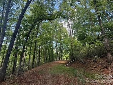 Welcome to the desirable Lake Adger Community! This 1.10 ac - photo 23