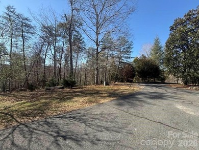 Welcome to the desirable Lake Adger Community! This 1.10 ac - photo 24