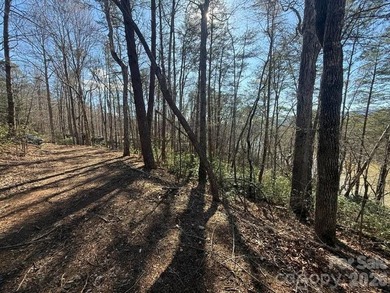 Welcome to the desirable Lake Adger Community! This 1.10 ac - photo 25