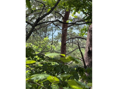 Welcome to the desirable Lake Adger Community! This 1.10 ac - photo 26