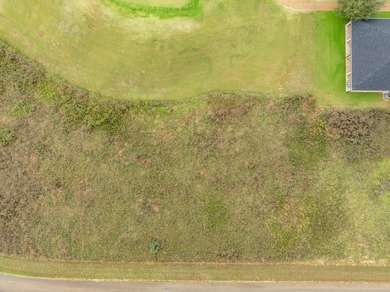 Scenic lot located on the #10 green of the NEW COURSE in White - photo 5