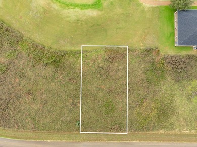 Scenic lot located on the #10 green of the NEW COURSE in White - photo 6