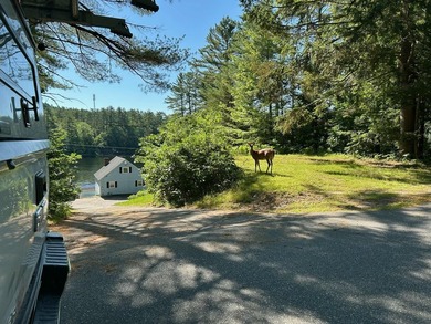 Price Reduced!!! Popular MOUSAM LAKE in Acton. Beautiful - photo 40