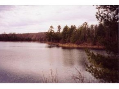Indian Lake Acreage For Sale in Land O Lakes Wisconsin