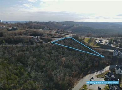 Table Rock Lake Lot For Sale in Branson Missouri