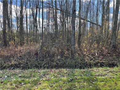 Lake Lot For Sale in Roaming Shores, Ohio