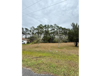 Discover the potential of this expansive land property at 245 - photo 3