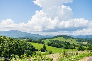 Watauga Lake Lot For Sale in Butler Tennessee