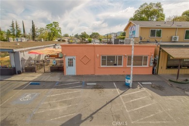 Lake Commercial For Sale in Clearlake, California